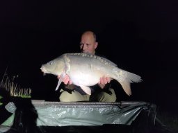 Competities HSV Alfheim